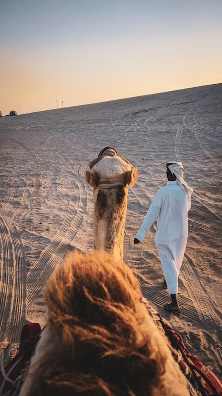 Cómo es el gobierno de Qatar: monarquía, riqueza, desigualdad y la ley islámica 12 desierto de qatar