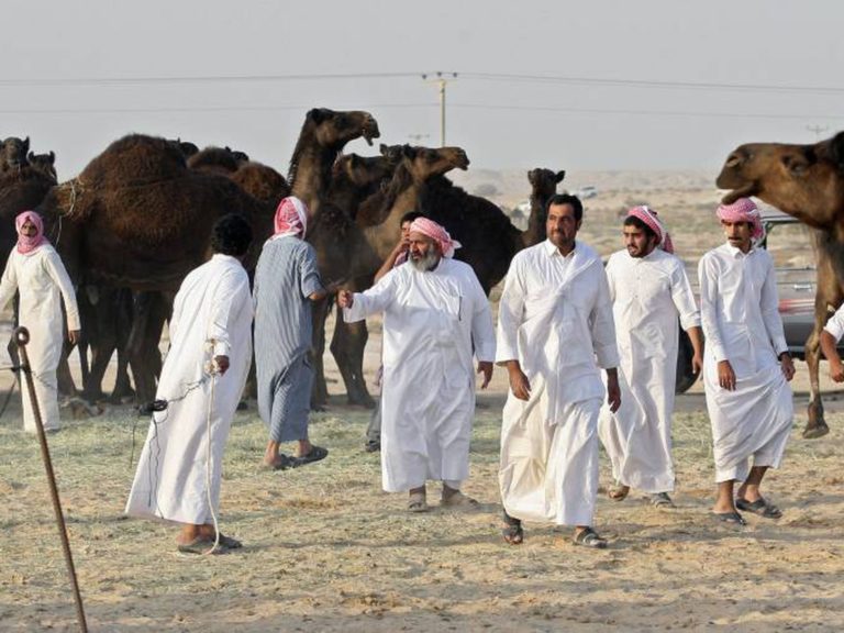 camellos