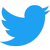 Twitter Logo