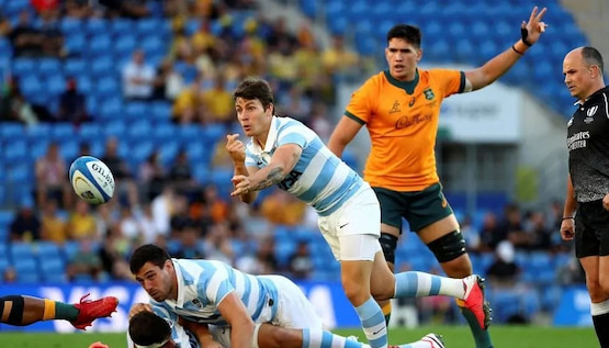 pumas nuevo torneo