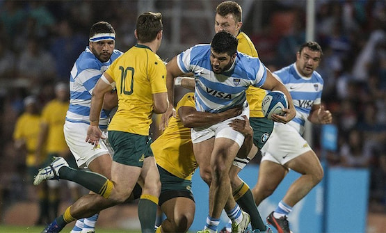 pumas wallabies