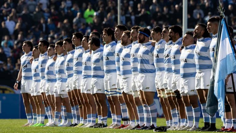 pumas (2)
